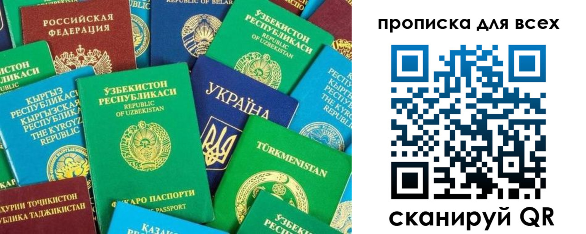 прописка в квартире в Борзе